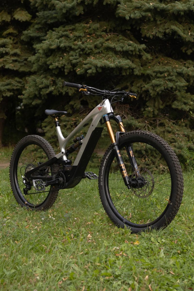 YT Industries Decoy CF Pro Race