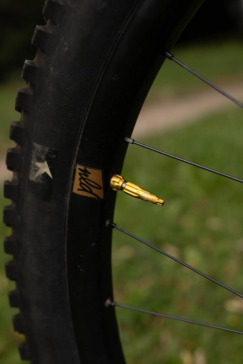 YT Industries Decoy CF Pro Race