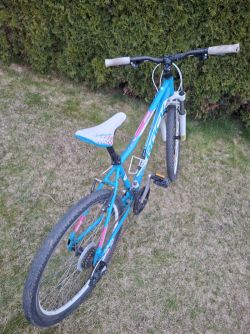 Rock Machine Falcon Talon