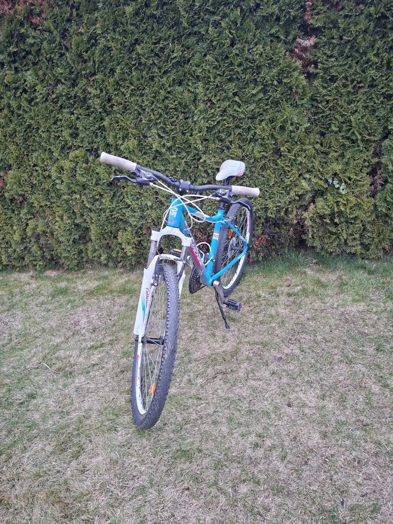 Rock Machine Falcon Talon