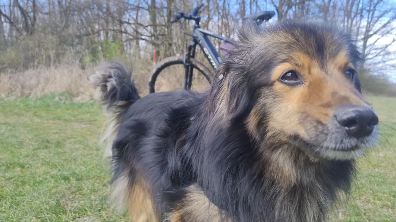 NOVÉ ELEKTROKOLO CTM, motor PANASONIC 75 Nm, bat. 720 Wh