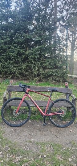 Ghost Asket Advanced AL GRX800 (L)