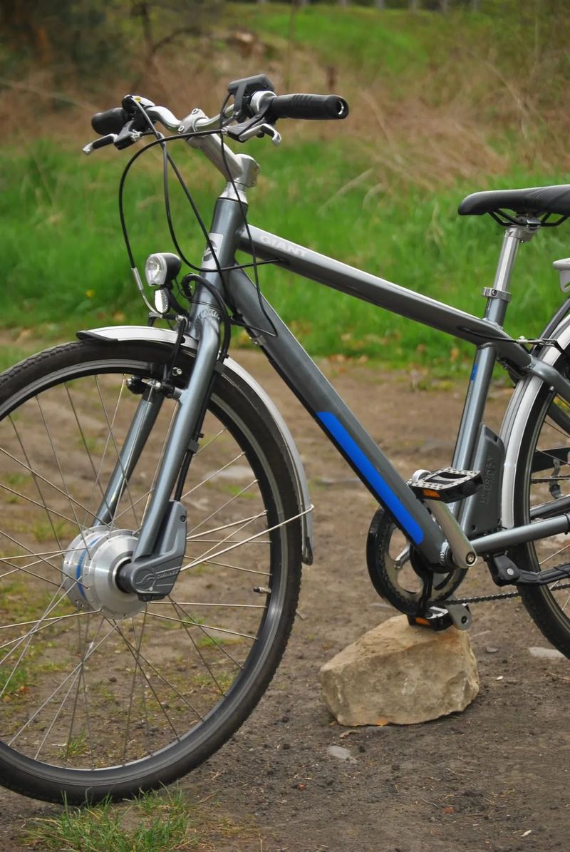 Giant Elektrokolo Giant Twist Express 26