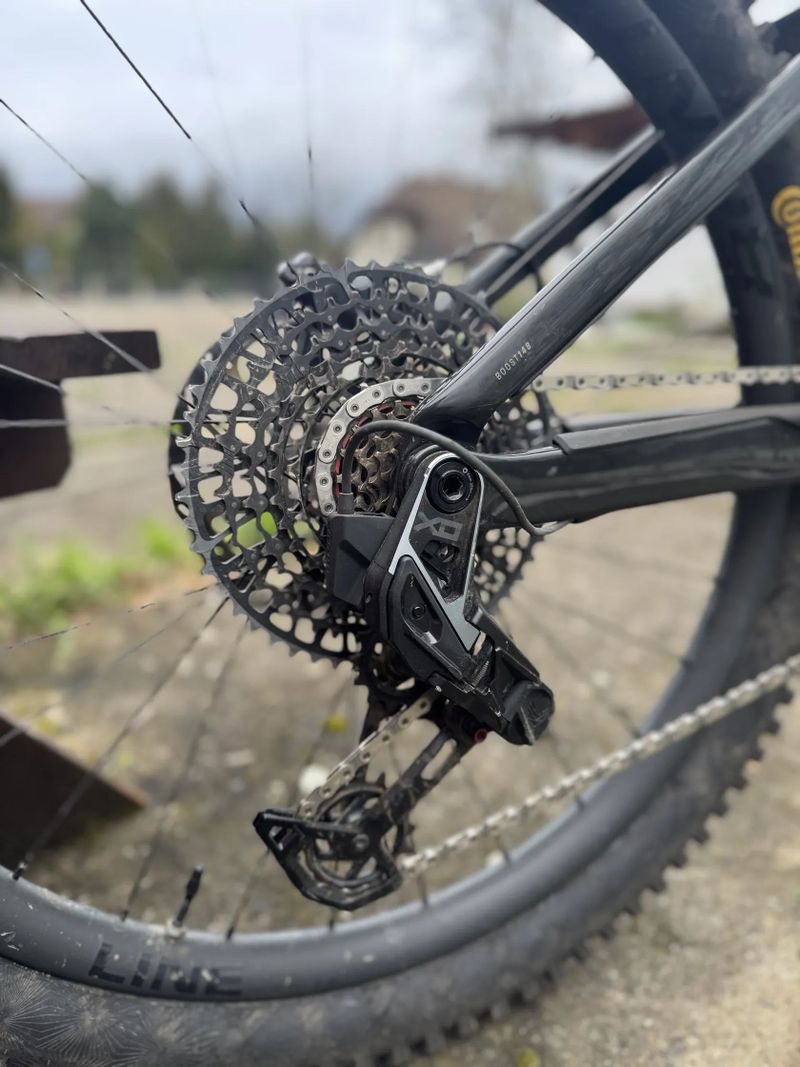 Trek Rail 9.9 AXS T-type mullet