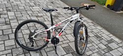 Trek 4900
