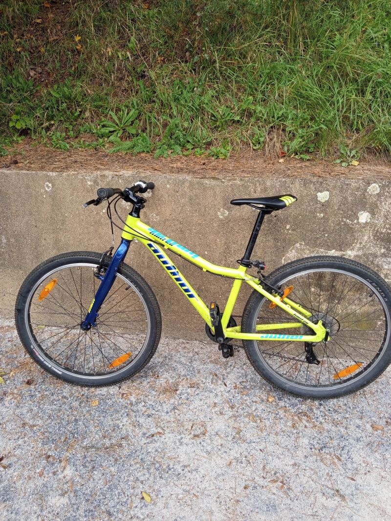 Author Limit 26 10 kg, přechodové kolo