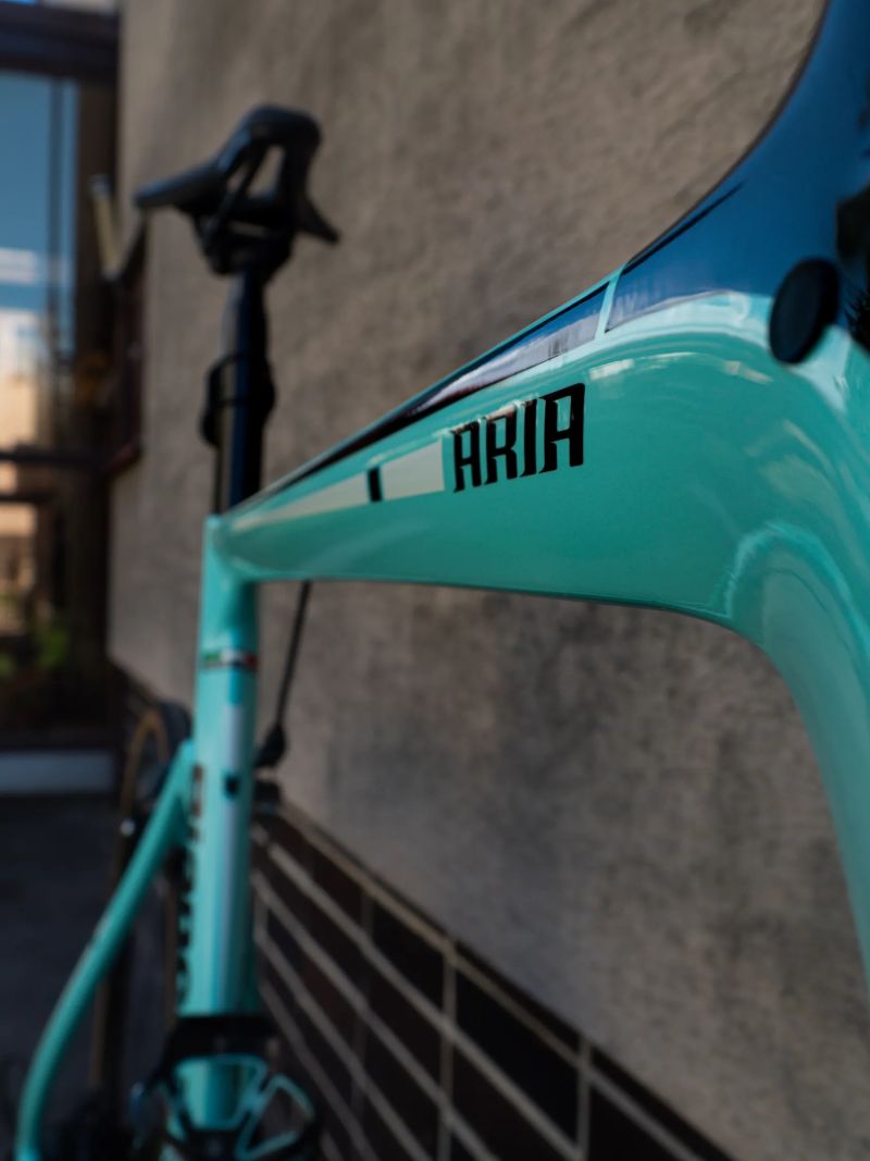 Bianchi Aria karbon