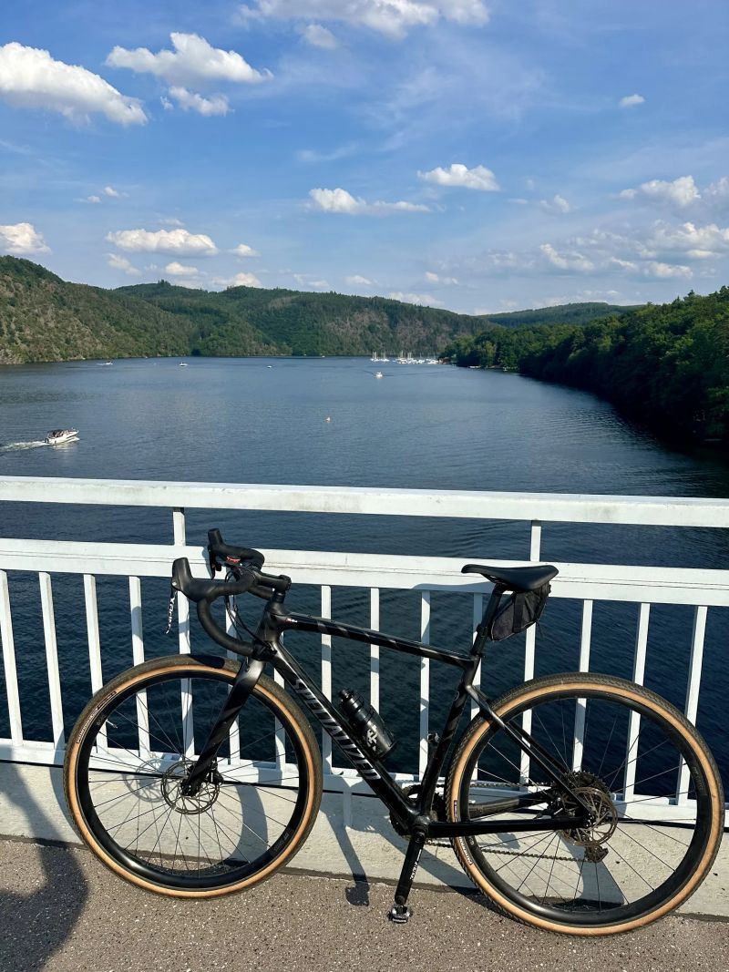 Specialized Diverge sport carbon