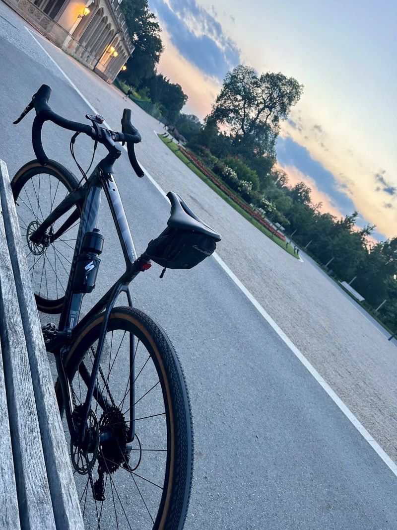 Specialized Diverge sport carbon