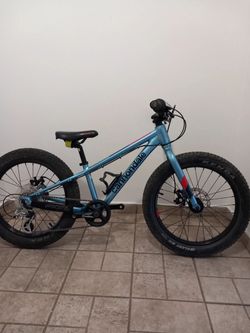 Cannondale cujo