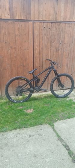 Trek Remedy 8