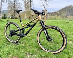 Canyon Spectral 125 CF LTD, Flight Attendant, XL, 11.9kg