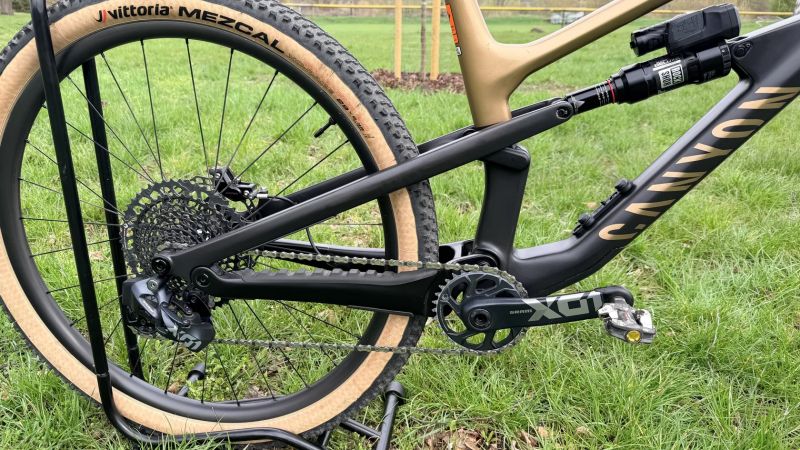 Canyon Spectral 125 CF LTD, Flight Attendant, XL, 11.9kg