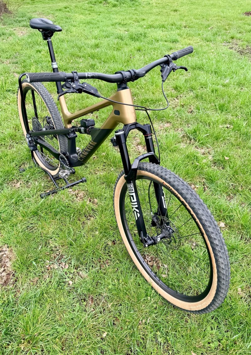 Canyon Spectral 125 CF LTD, Flight Attendant, XL, 11.9kg