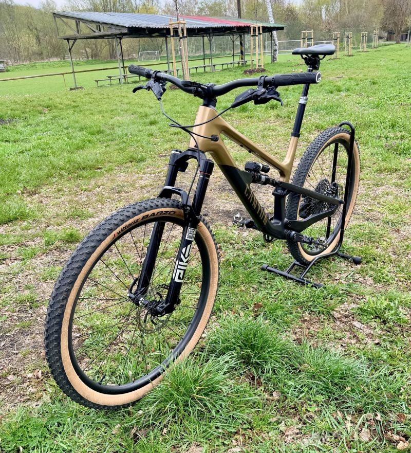 Canyon Spectral 125 CF LTD, Flight Attendant, XL, 11.9kg