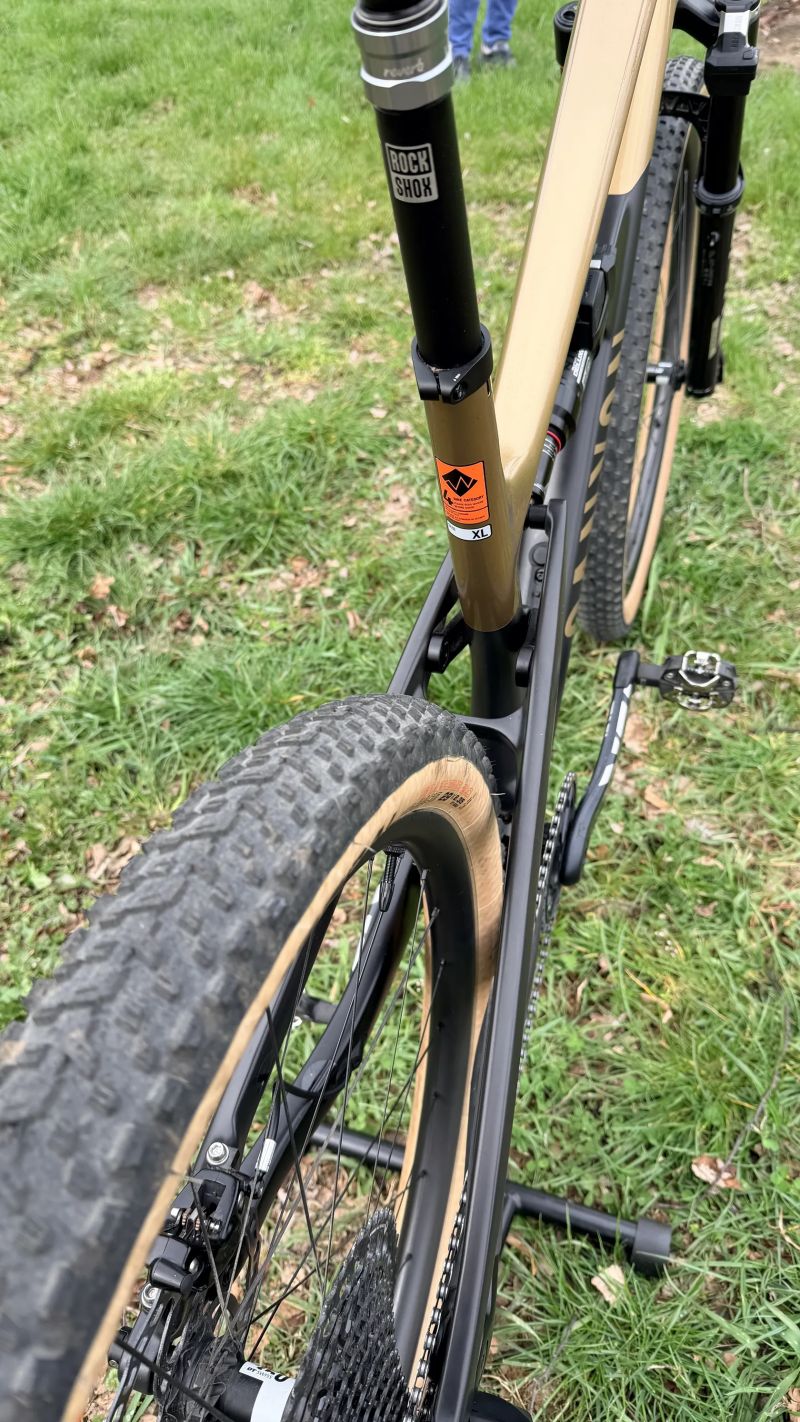 Canyon Spectral 125 CF LTD, Flight Attendant, XL, 11.9kg