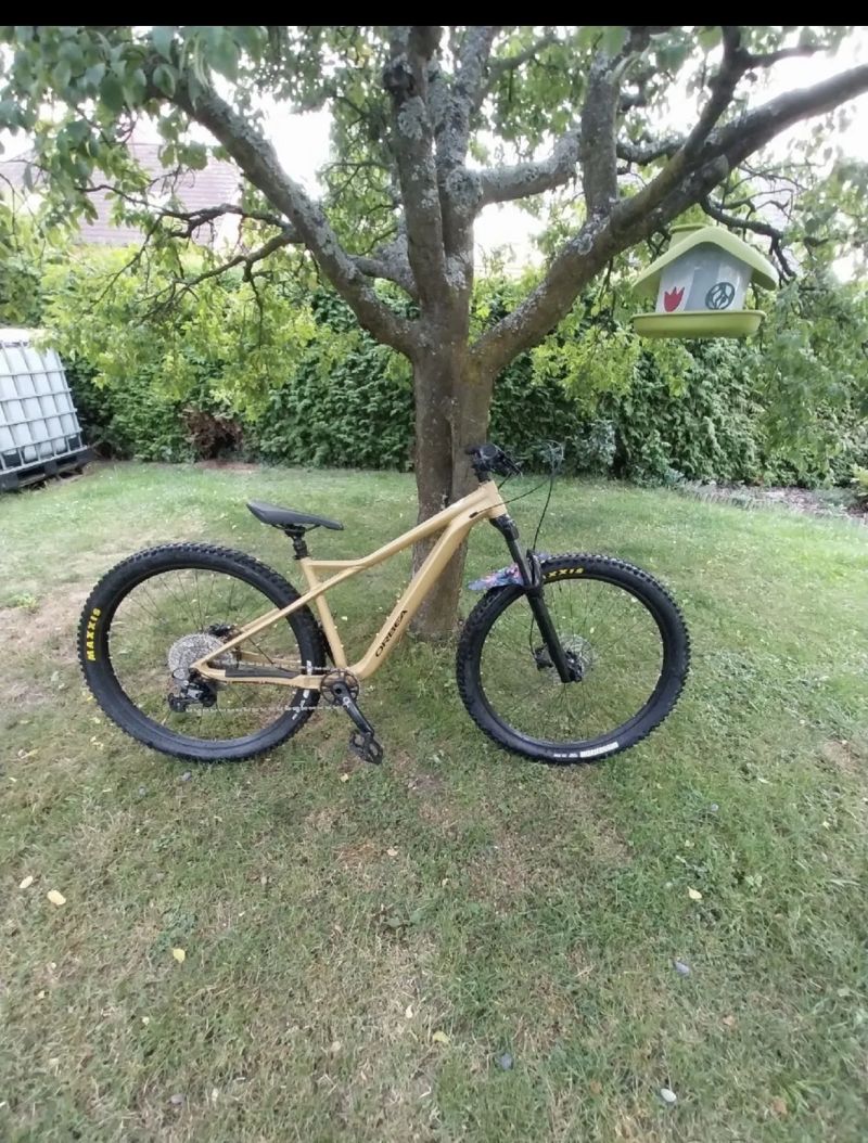 Orbea Laufey H10