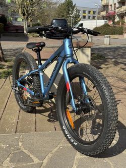 Cannondale Cujo 20"+