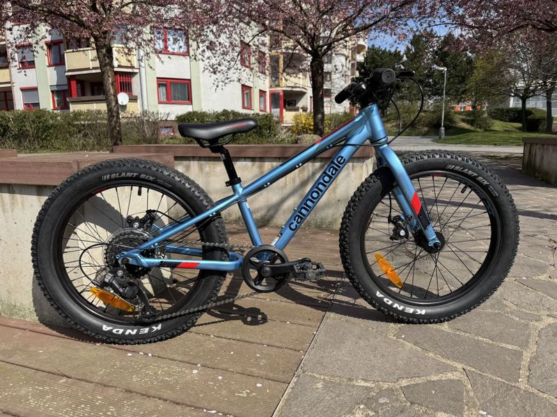 Cannondale Cujo 20"+