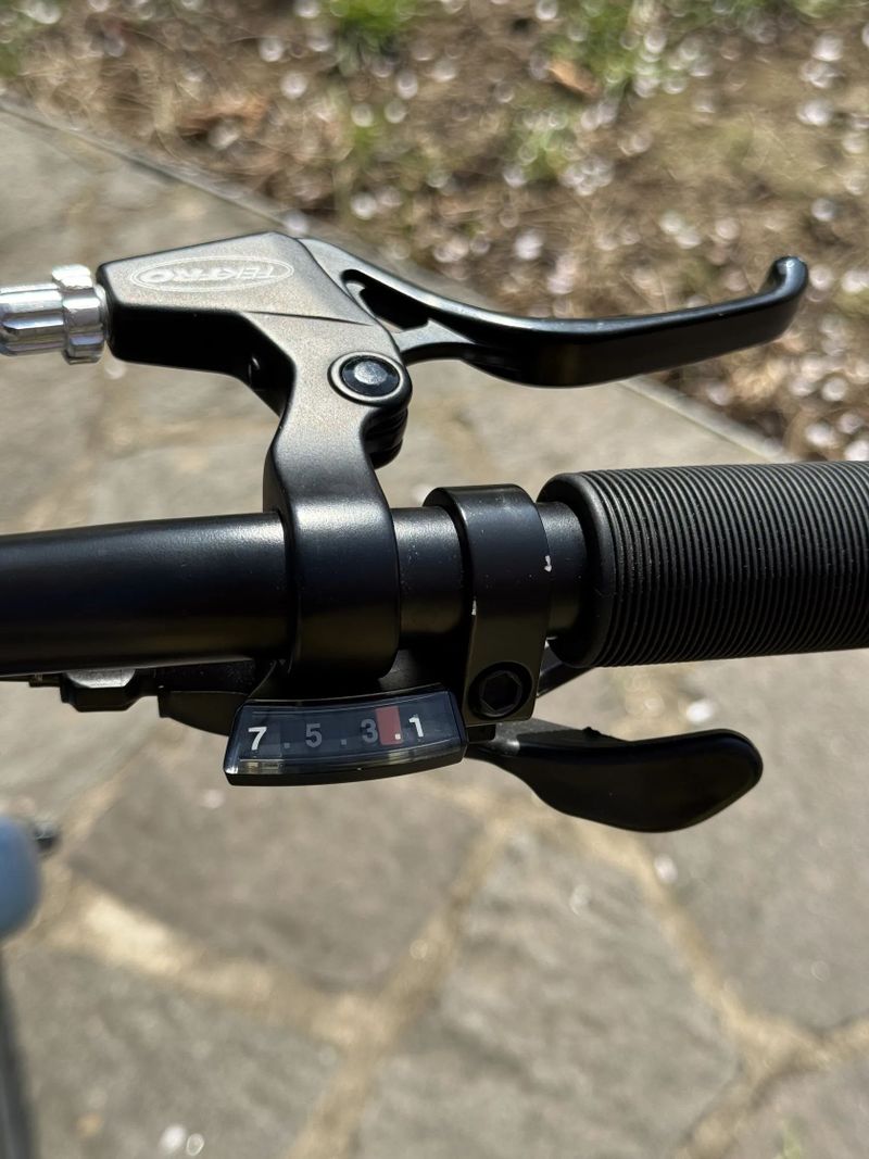 Cannondale Cujo 20"+