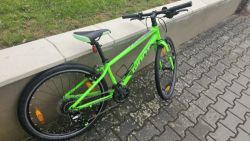 Lehký dětský Giant ARX 24