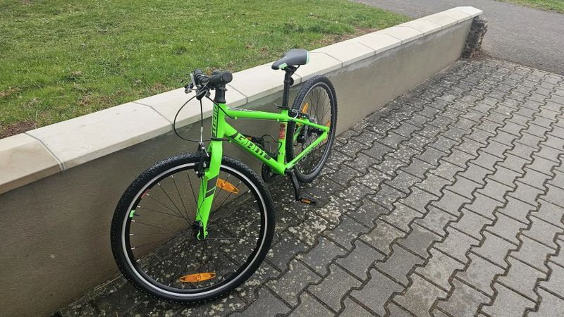 Lehký dětský Giant ARX 24