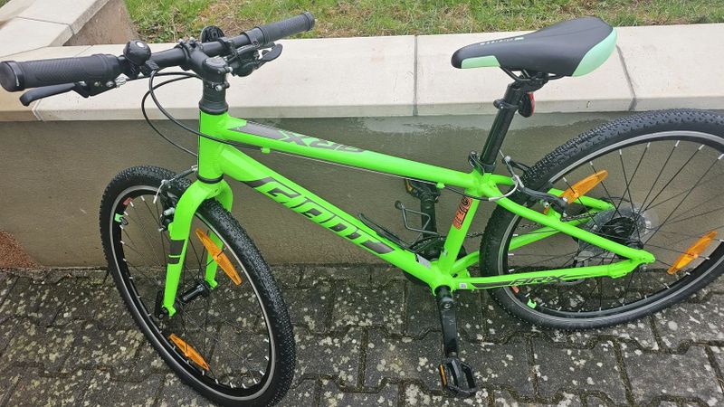 Lehký dětský Giant ARX 24