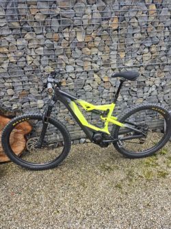Cannondale Moterra NEO 3 M, L
