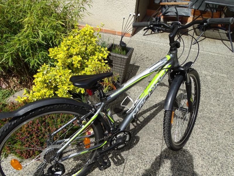 Rock Machine Manhattan 26"