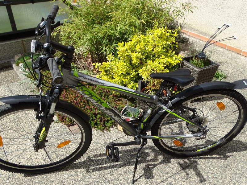 Rock Machine Manhattan 26"