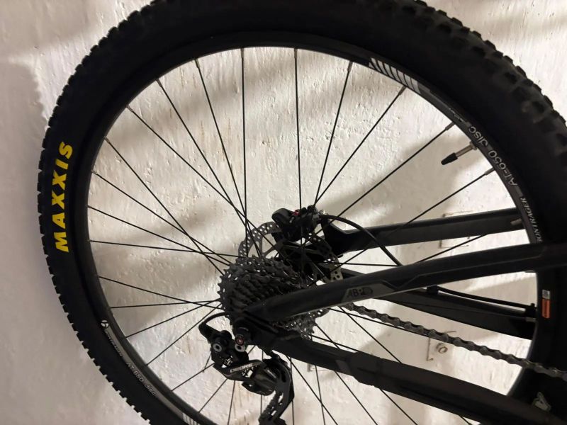 Trek Evo