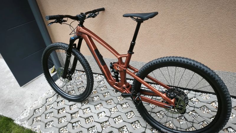 Trek FUEL EX 8 XT Gen 6 Matte Pennyflake