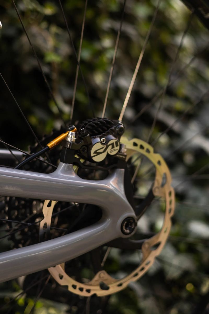 Propain Spindrift CF 29 HE