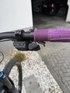 Canyon Strive cfr underdog 2024