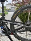 Canyon Strive cfr underdog 2024