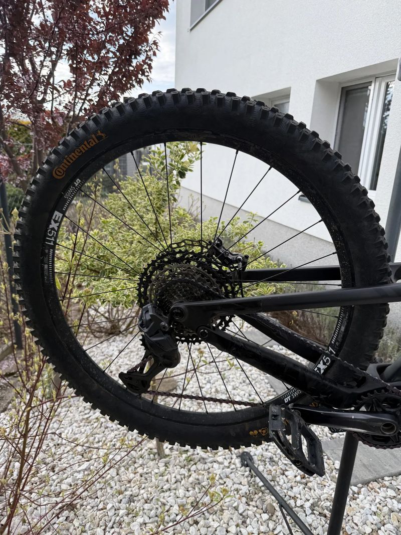 Canyon Strive cfr underdog 2024