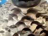 Shimano GRX 1x12 (přehazovačka + kazeta + řeťez)