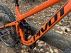 Pivot Cycles Firebird
