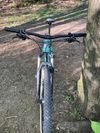 Bianchi Methanol SX