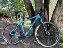 Bianchi Methanol SX