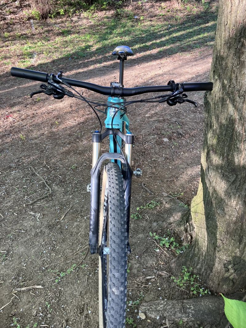 Bianchi Methanol SX