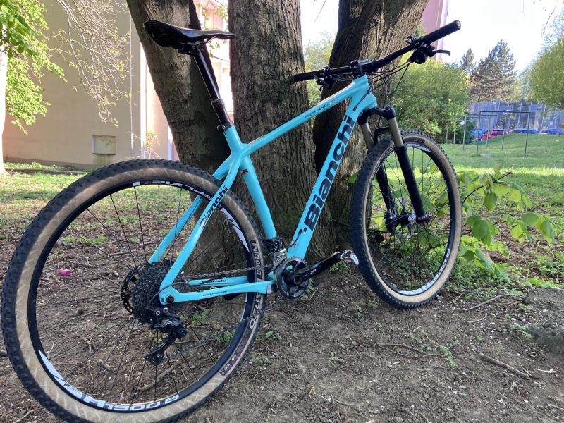 Bianchi Methanol SX