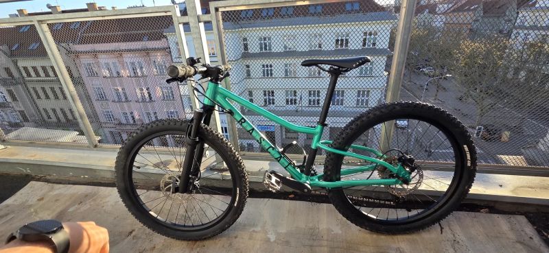 Rascal Wild 24 S Emerald