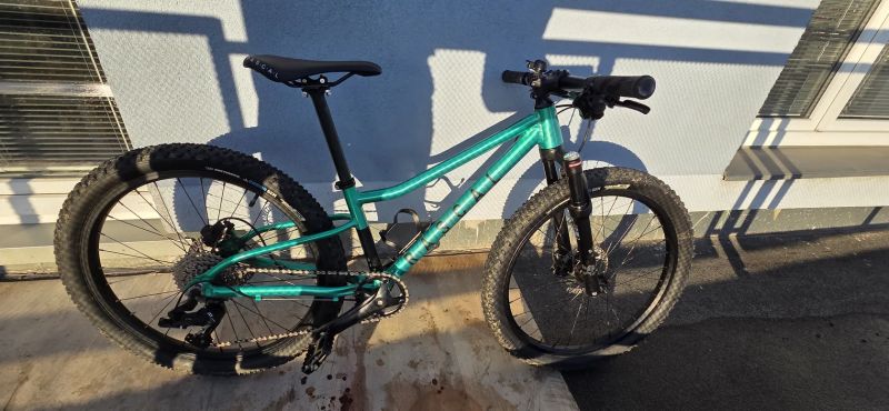 Rascal Wild 24 S Emerald