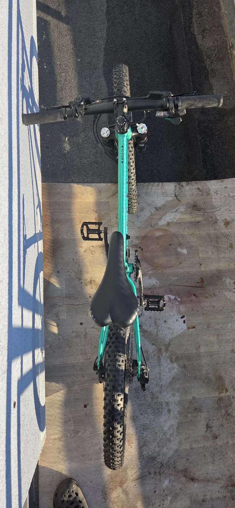 Rascal Wild 24 S Emerald