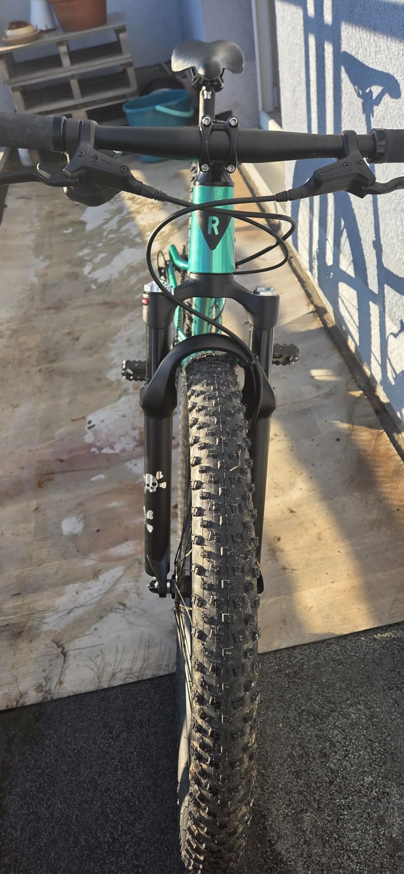 Rascal Wild 24 S Emerald