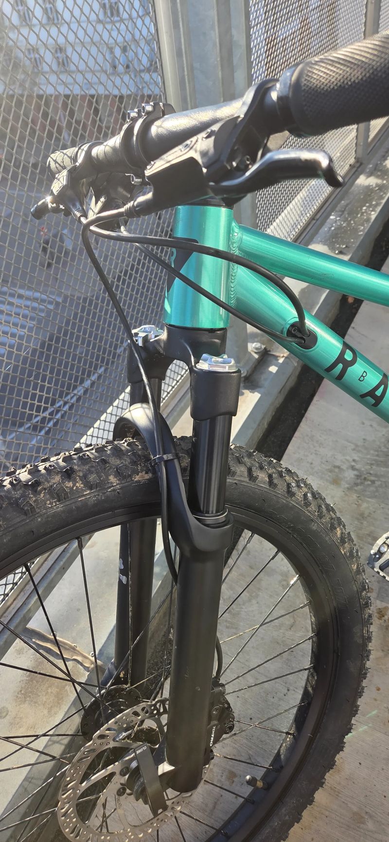 Rascal Wild 24 S Emerald