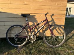 Dámské jízdní kolo Maxbike