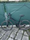 Maxbike cavalla Lady C400