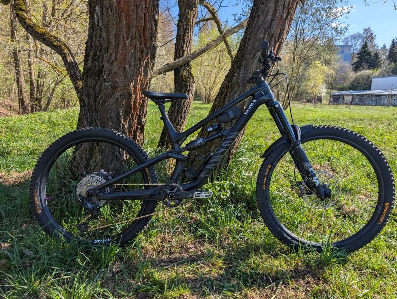 Canyon Torque Mullet cf 8